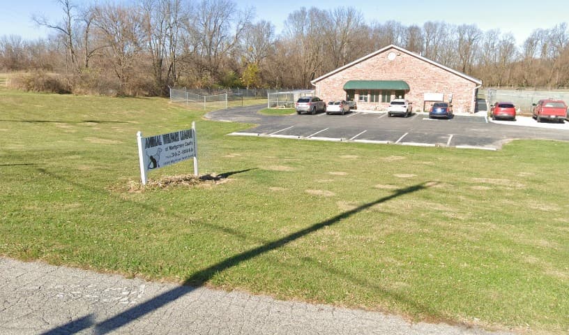 Animal Welfare League