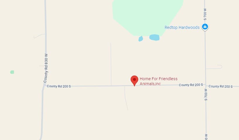 Home For Friendless Animals,inc