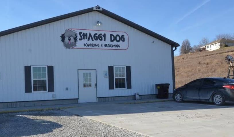 Shaggy Dog Grooming & Boarding