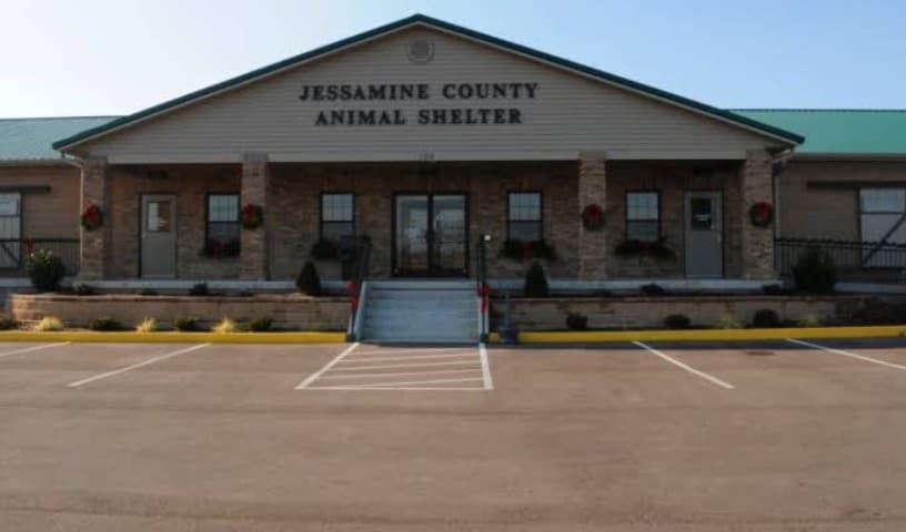 Jessamine County Animal Care & Control