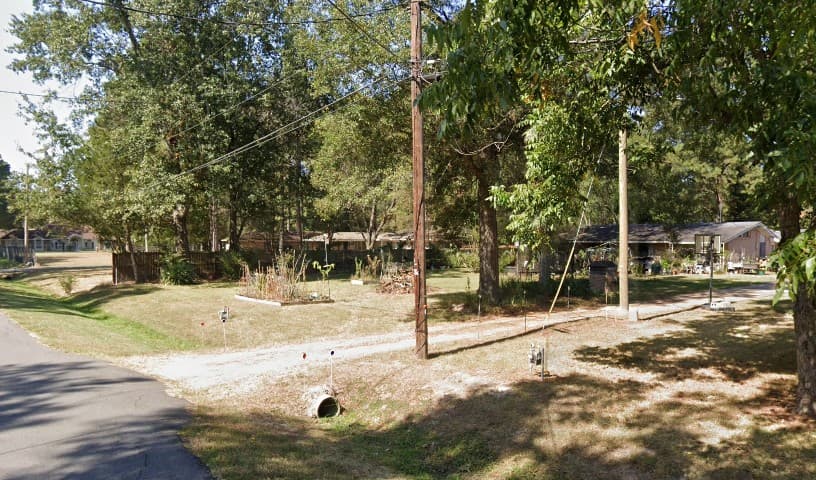 Steve's Snaketuary
