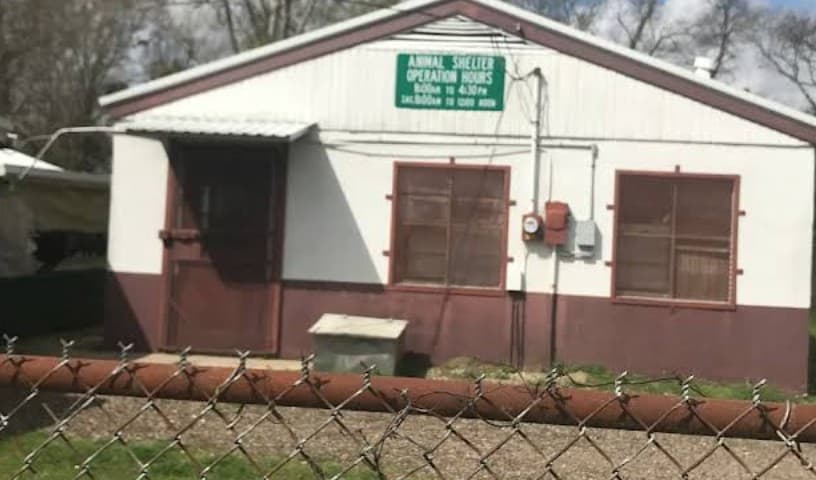 St Mary Parish Animal Control