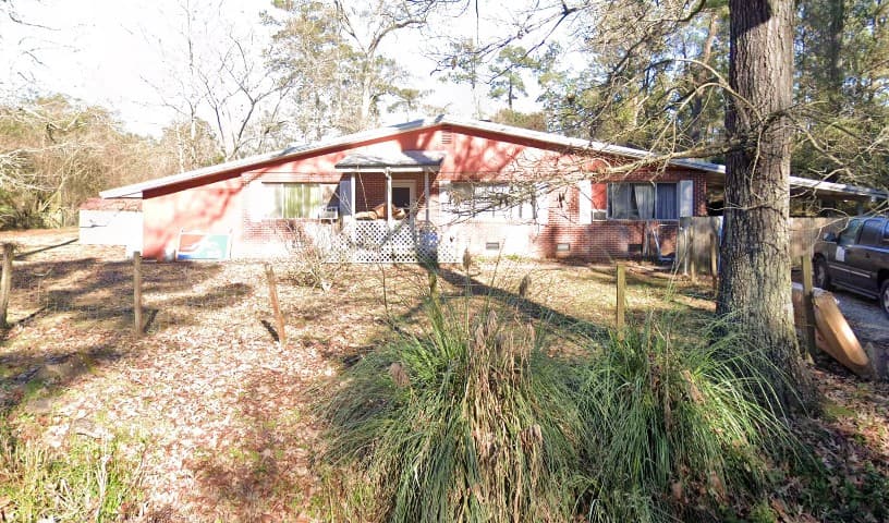 Lesley’s Greyhound Playground