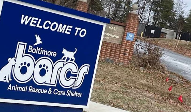 The Baltimore Animal Rescue and Care Shelter (BARCS)