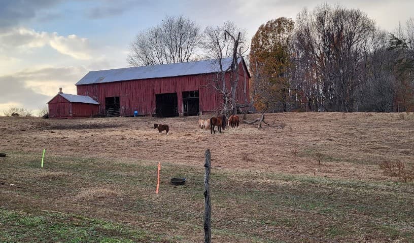 Travellers Rest Farm Sanctuary