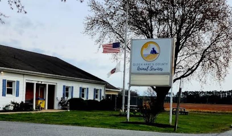 Queen Anne’s County Animal Services