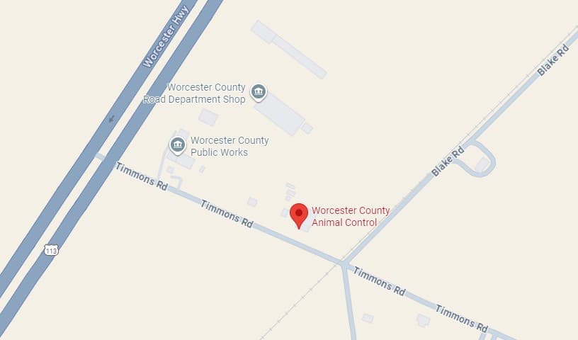 Worcester County Animal Control