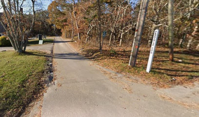 Martha's Vineyard Care and Adoption Center