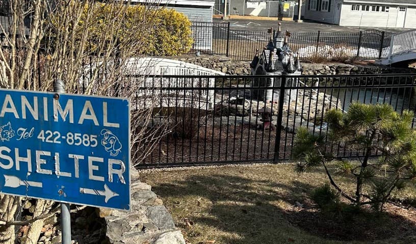 Sterling Animal Shelter
