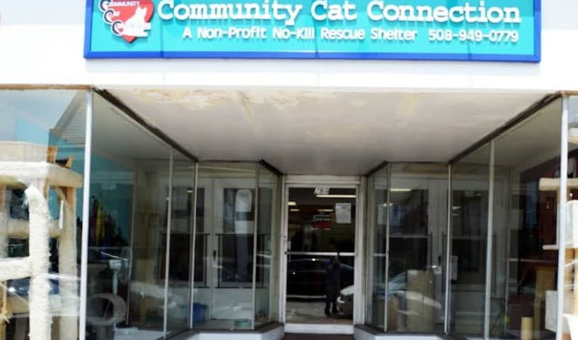 The Community Cat Connection