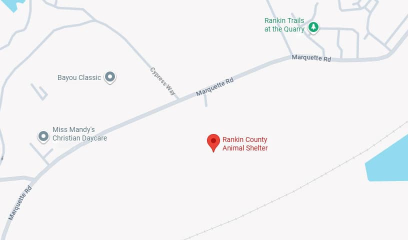 Rankin County Animal Shelter