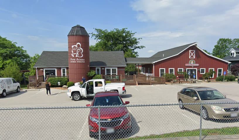 Five Acres Animal Shelter