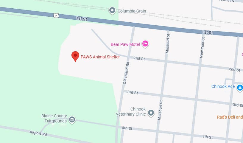 PAWS Animal Shelter