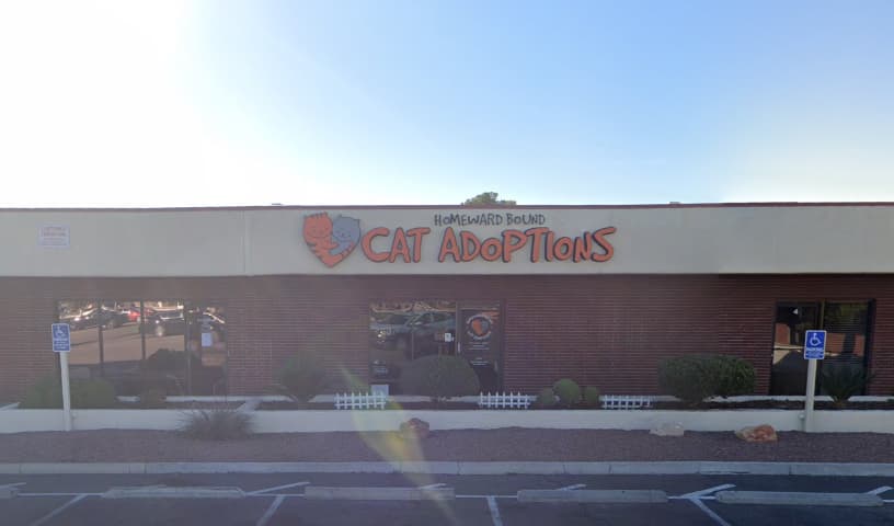 Homeward Bound Cat Adoptions