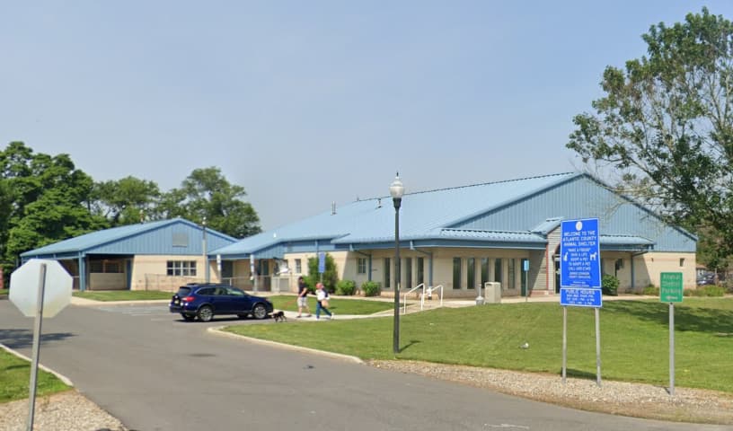Atlantic County Animal Shelter