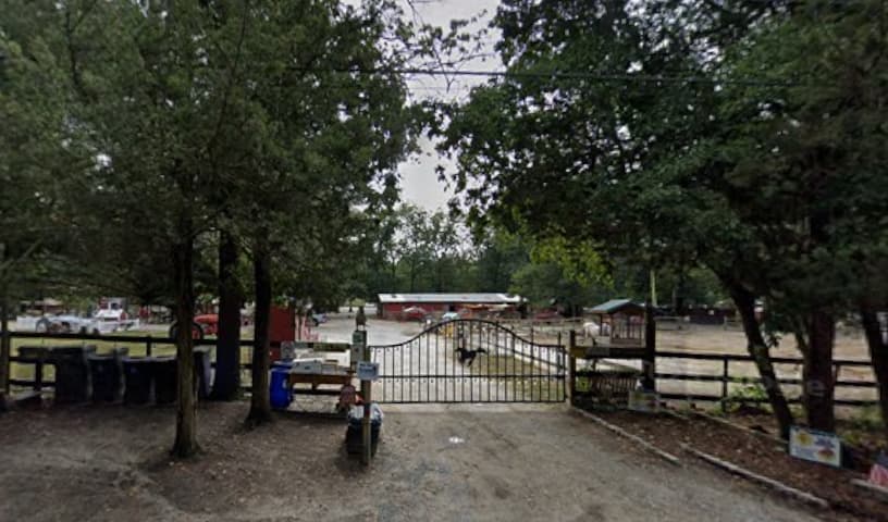 Funny Farm Rescue & Sanctuary