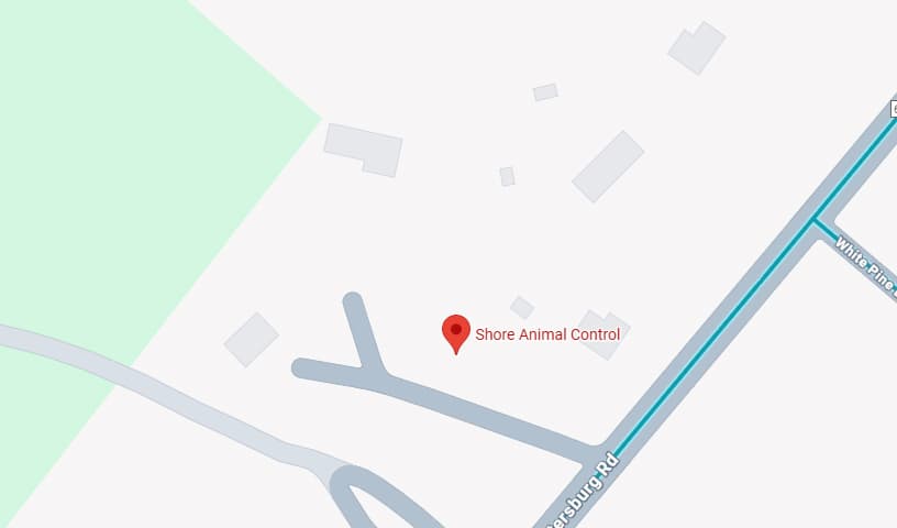 Shore Animal Control