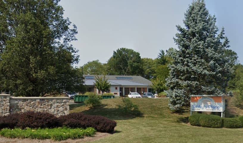 Tabby's Place: a Cat Sanctuary