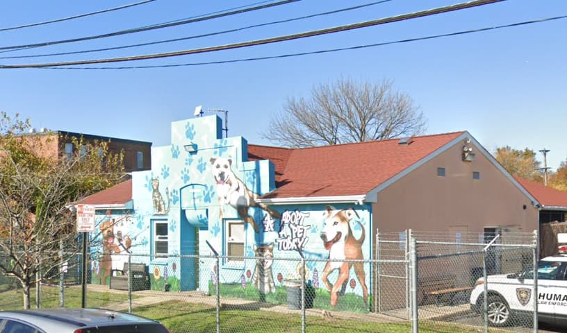 Trenton Animal Shelter
