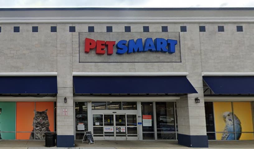 Pet Adoption Network, Inc.
