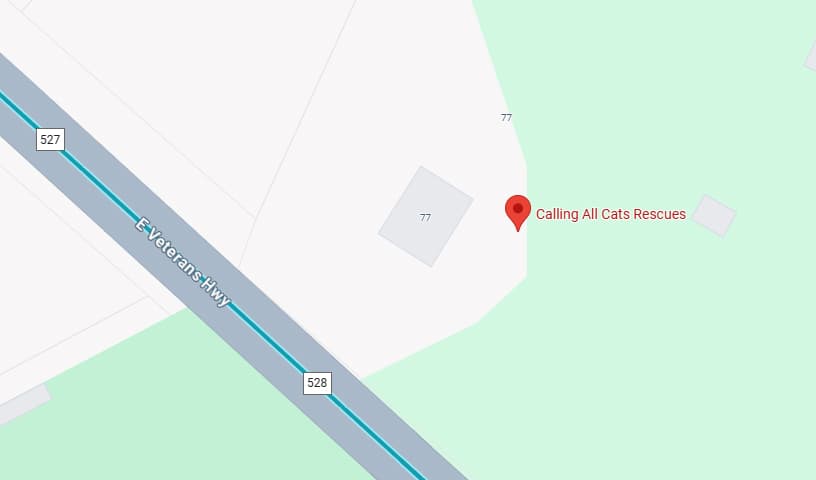 Calling All Cats Rescues