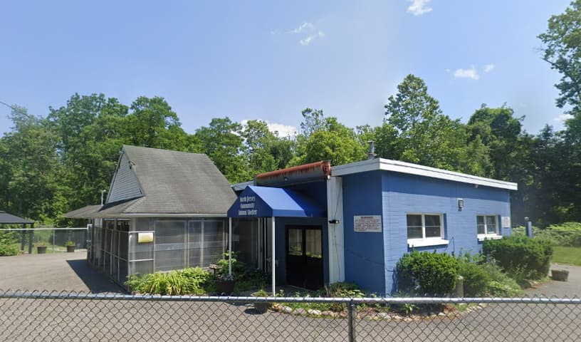 The North Jersey Community Animal Shelter