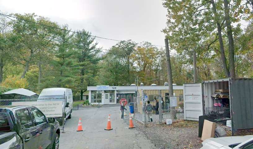 RG CARES Animal Shelter