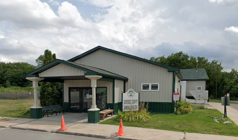 Genesee County Animal Shelter