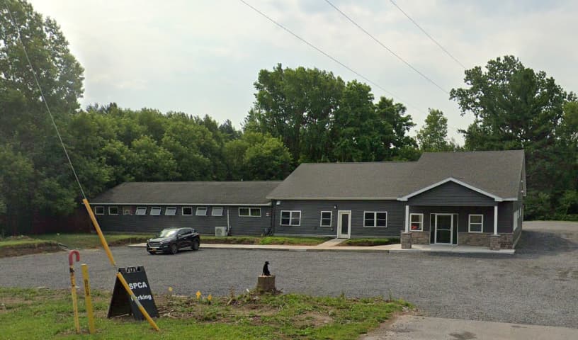 Jefferson County SPCA