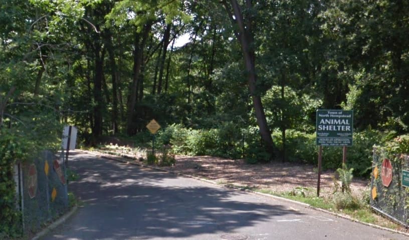 The Shelter Connection (The Town of North Hempstead Animal Shelter)
