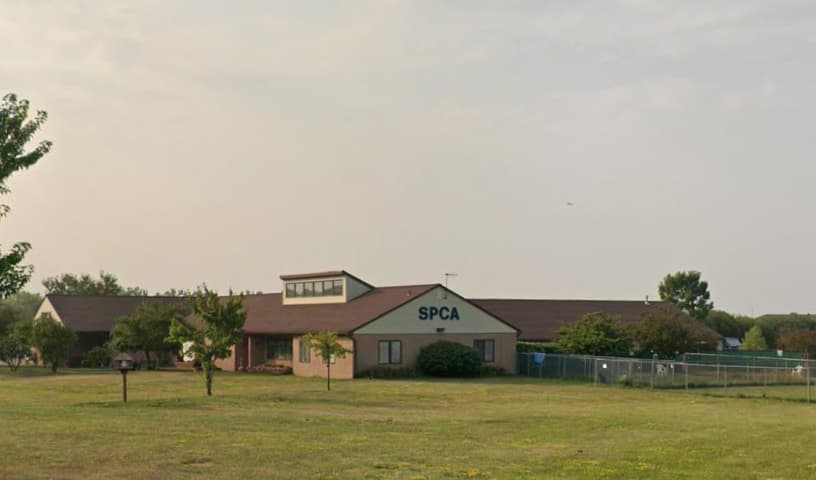 Niagara SPCA