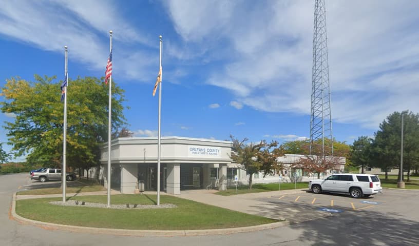Albion Animal Control