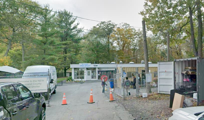 Rockland County Animal Shelter