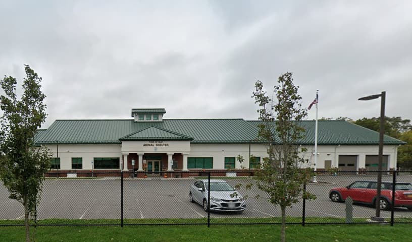 Islip Animal Shelter