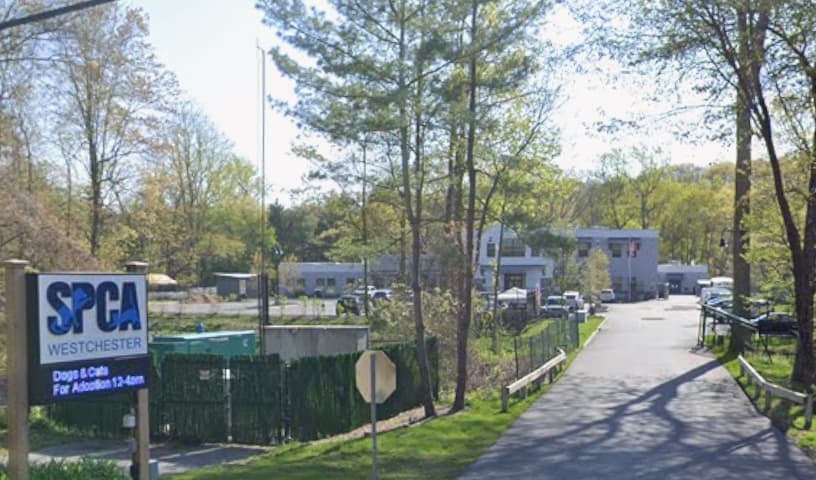 SPCA Westchester