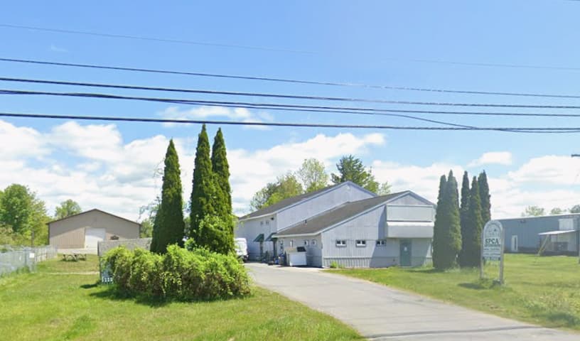 SPCA of Upstate New York