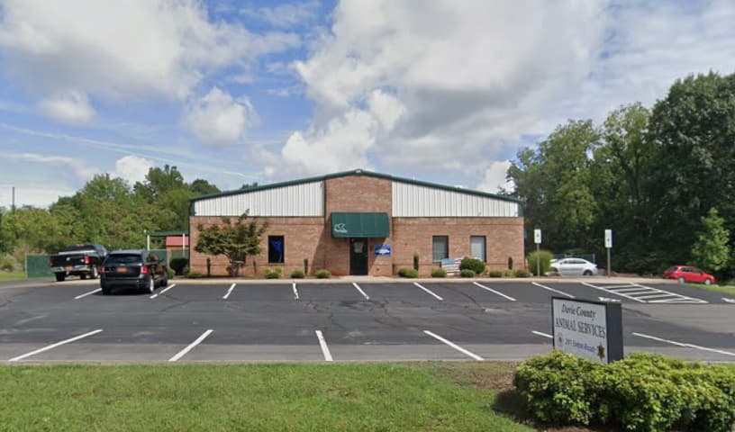 Davie County Animal Services