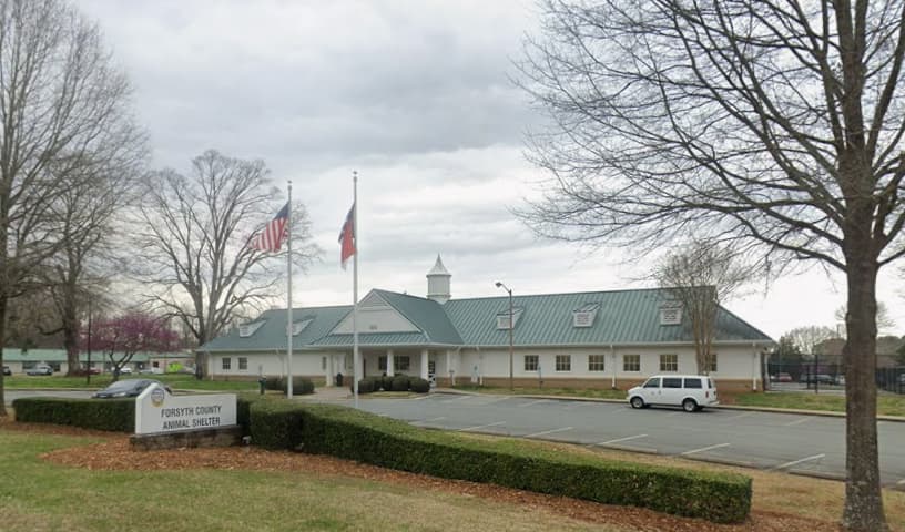 Forsyth County Animal Shelter