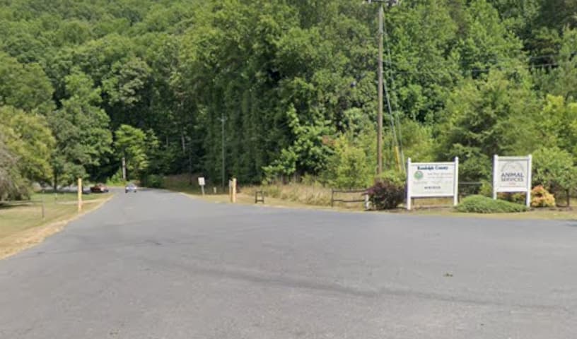 Randolph County Animal Services