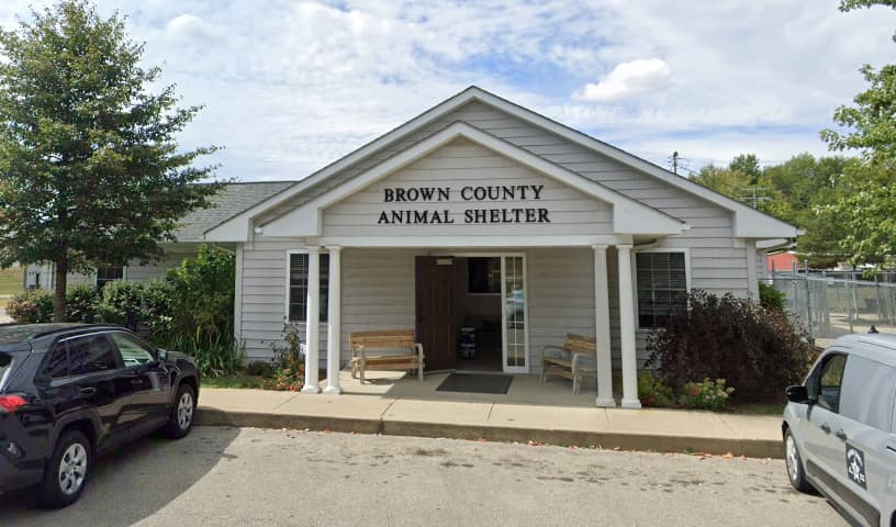 Brown County Humane Society Dog Shelter