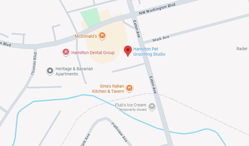 Hamilton Pet Grooming Studio