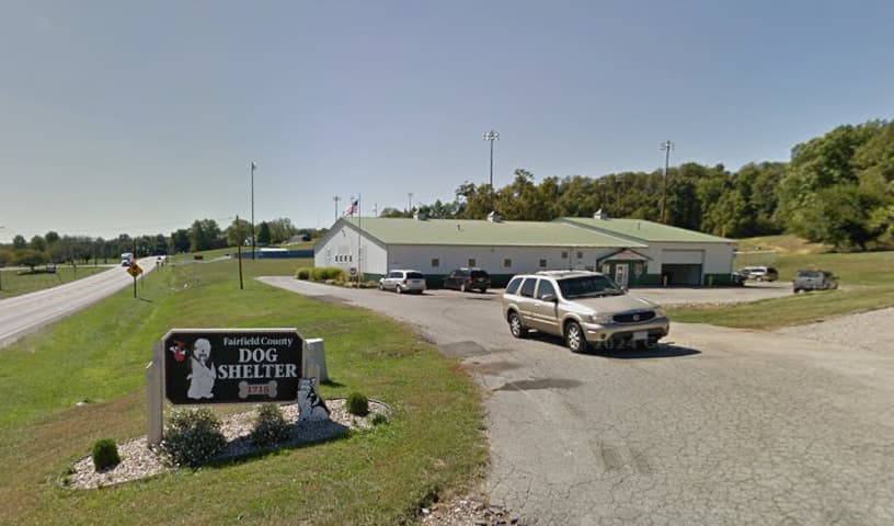Fairfield County Dog Adoption Center & Shelter