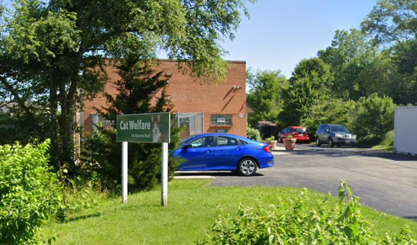 Cat Welfare Association Inc