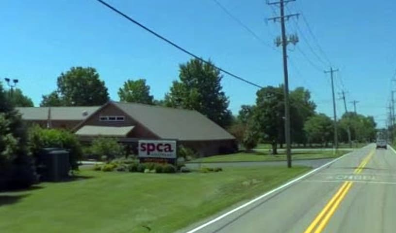 SPCA Cincinnati Sharonville