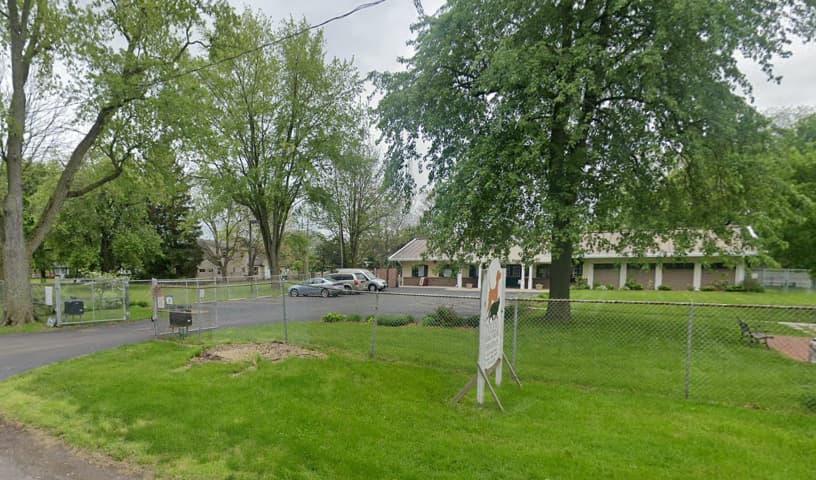 Toledo Animal Rescue