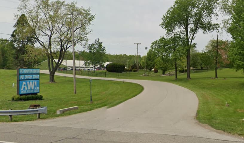 Animal Welfare League Of Trumbull County