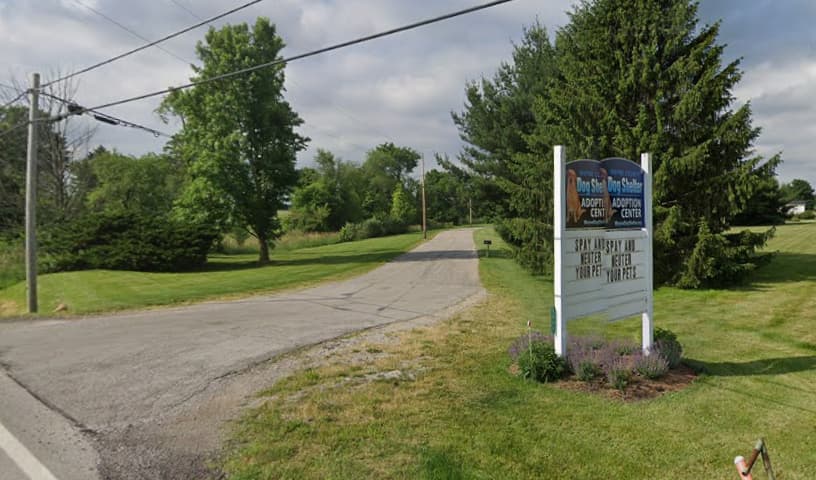 Wayne County Dog Shelter Adoption Center