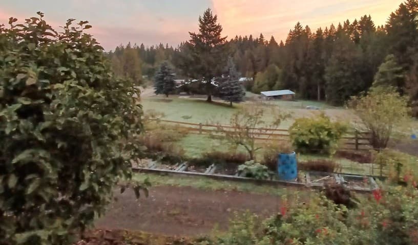 Zeb's Wish Equine Sanctuary