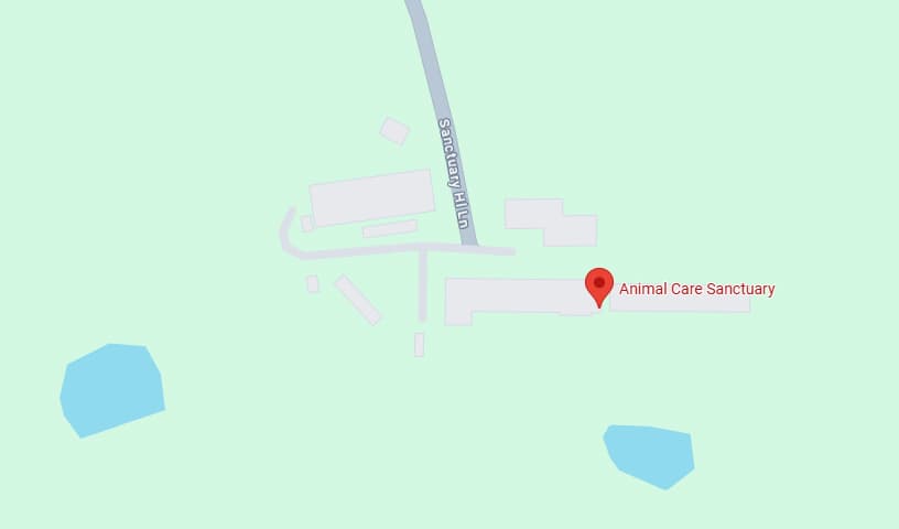 Animal Care Sanctuary
