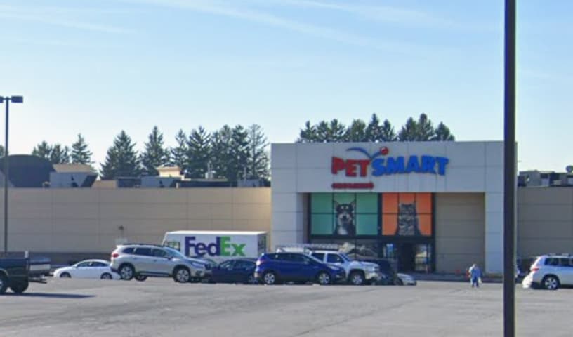 Lebanon PetSmart Animal Service